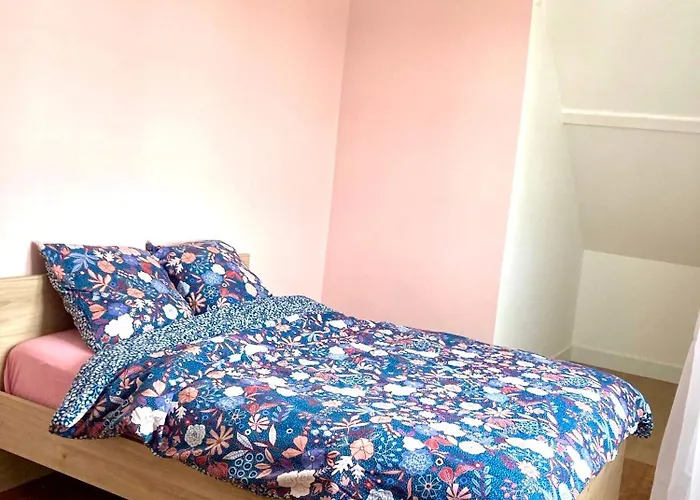 Charmante Maison Avec Jardin A Troyes Sainte-Savine